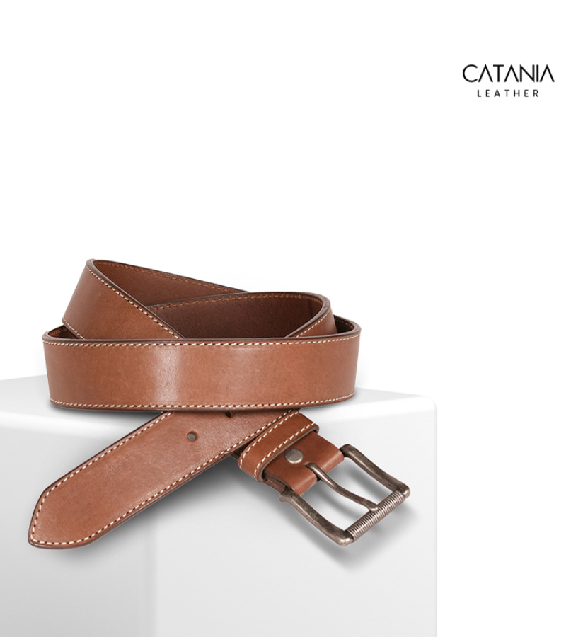 top wordpress developer in kochi